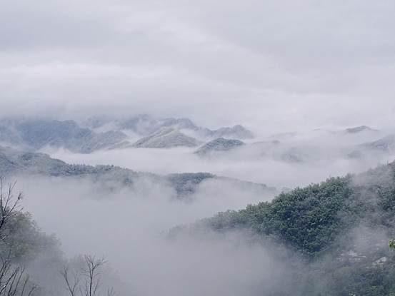 021何景毫 计算机信息管理1904